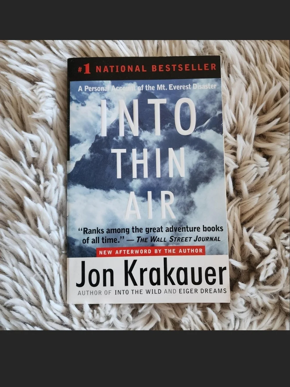 Into Thin Air Paperback Book - Blue Cover